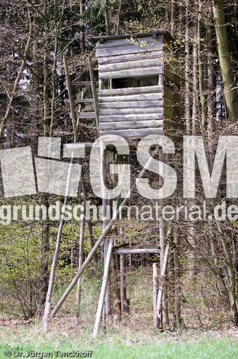 Hochstände (80 von 154).jpg